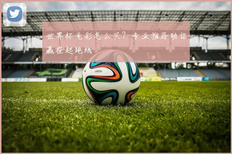 世界杯竞彩怎么买?专业推荐助你赢在起跑线