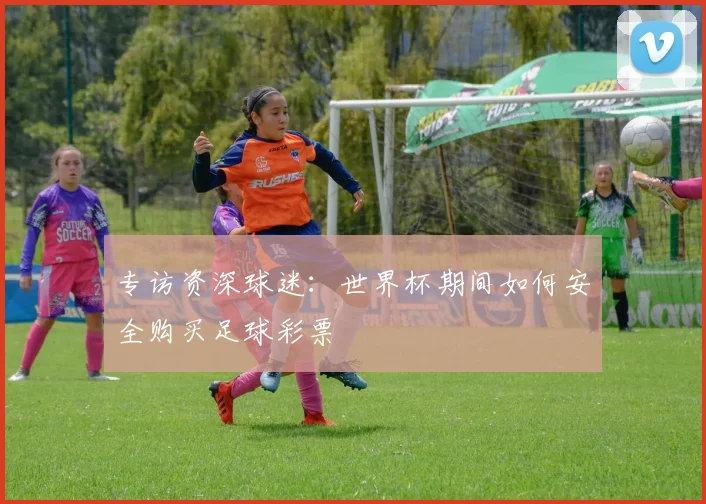 专访资深球迷:世界杯期间如何安全购买足球彩票