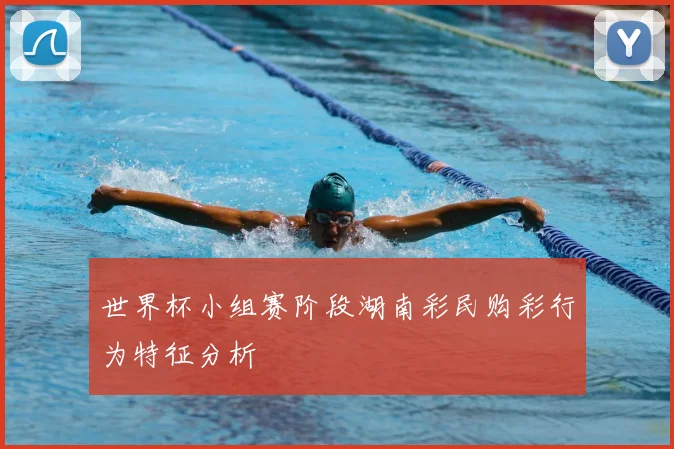 世界杯小组赛阶段湖南彩民购彩行为特征分析