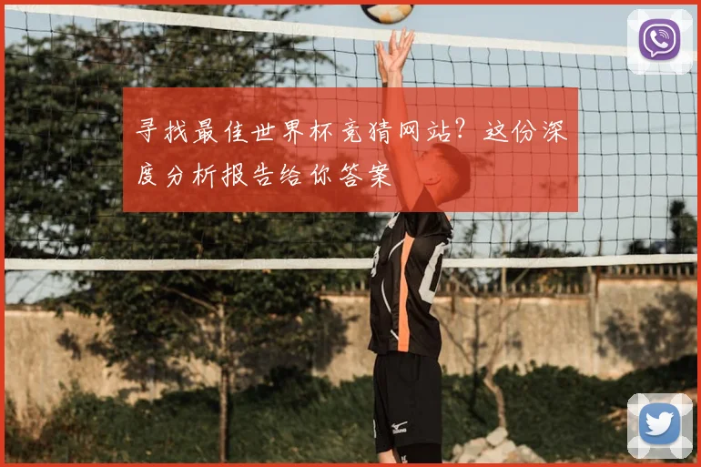 寻找最佳世界杯竞猜网站?这份深度分析报告给你答案