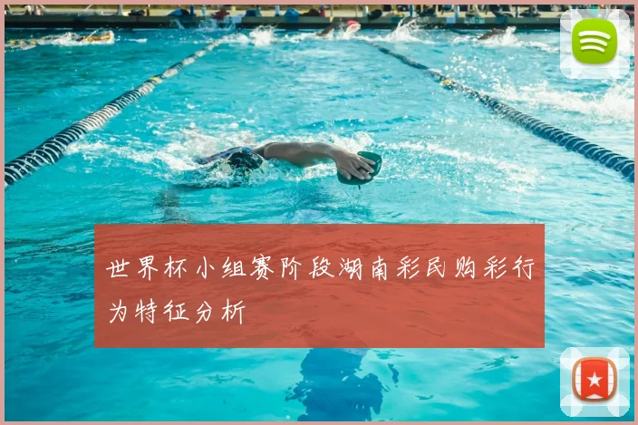 世界杯小组赛阶段湖南彩民购彩行为特征分析