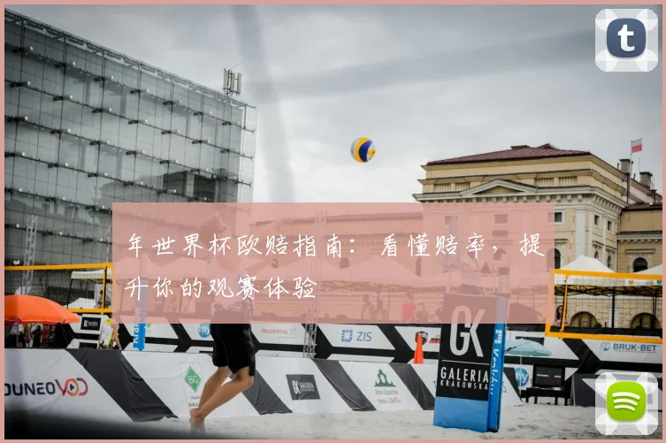 年世界杯欧赔指南:看懂赔率,提升你的观赛体验