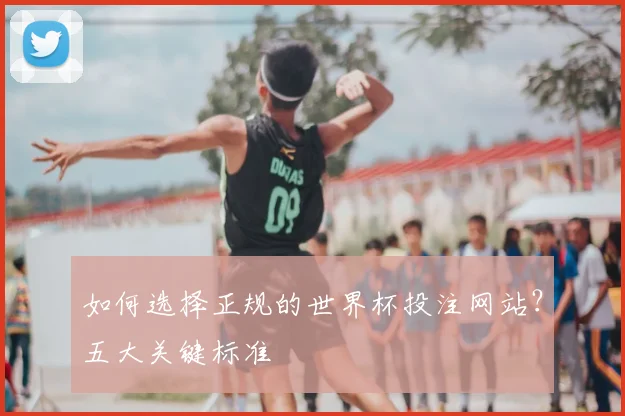 如何选择正规的世界杯投注网站?五大关键标准