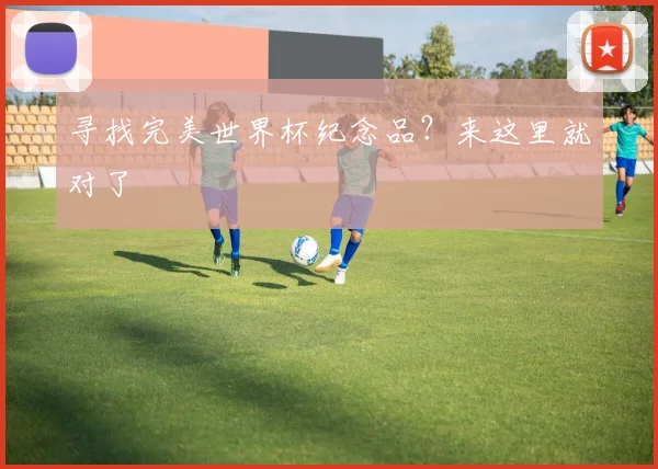 寻找完美世界杯纪念品?来这里就对了