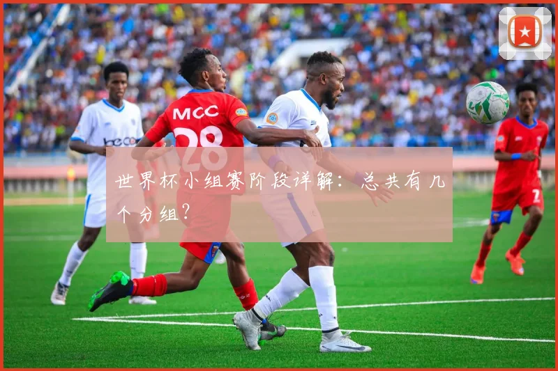 世界杯小组赛阶段详解:总共有几个分组?
