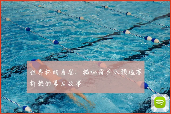 世界杯的看客:揭秘荷兰队预选赛折戟的幕后故事