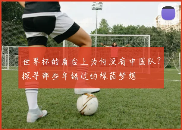 世界杯的看台上为何没有中国队?探寻那些年错过的绿茵梦想