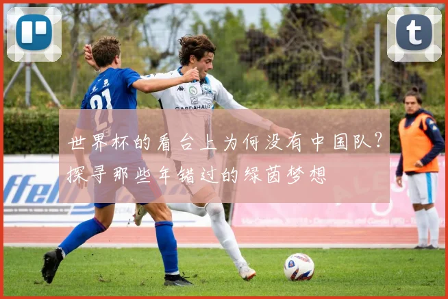 世界杯的看台上为何没有中国队?探寻那些年错过的绿茵梦想